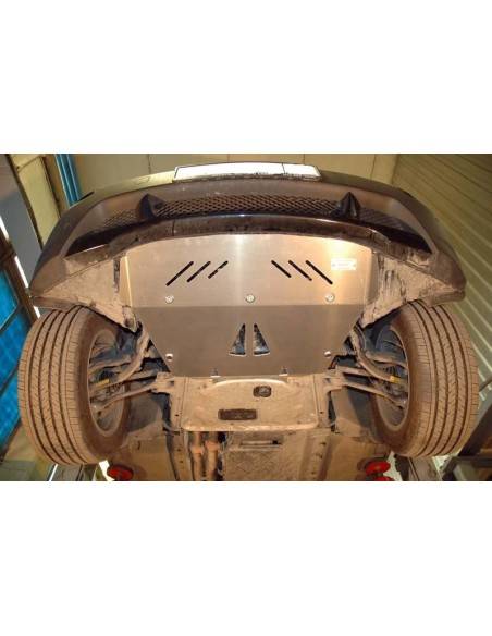 Protección del radiador BMW X3 "03.021" (Desde 2003 hasta 2010)