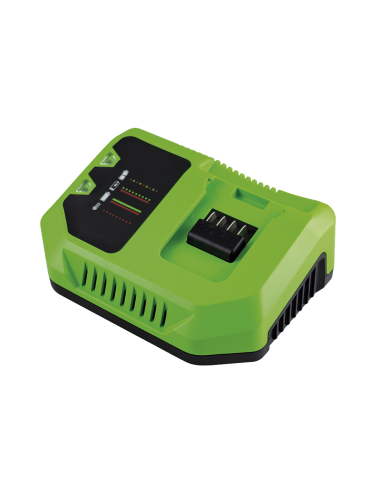 CARGADOR 20V
