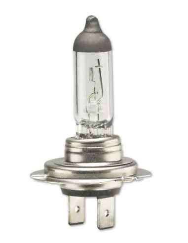 LAMPARA 12V - H7 55W BLISTER