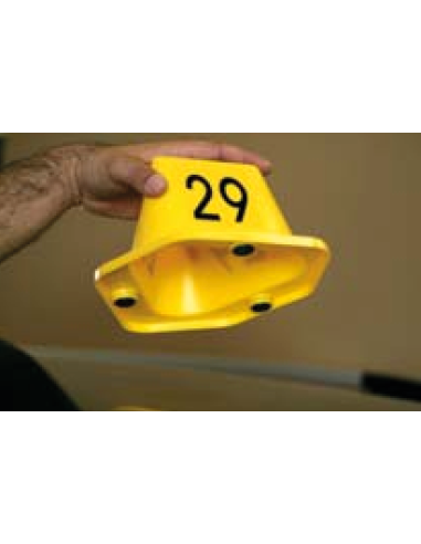 Pirámide Magnética Identificadora