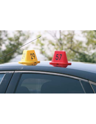 Pirámide Magnética Identificadora