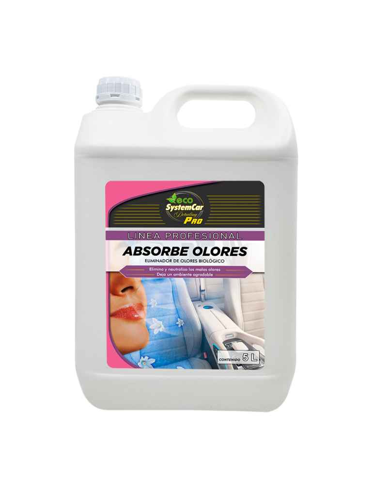 Absorbe olores