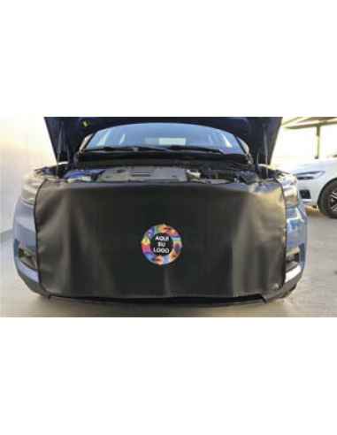 Protector Aletas y Frontal