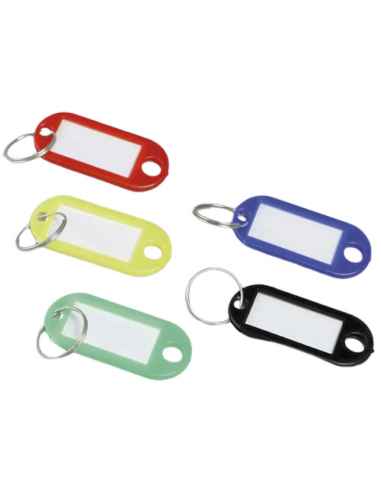 Llaveros para vehiculos de cortesia