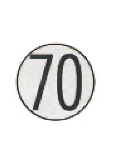 Placa de Velocidad Homologada