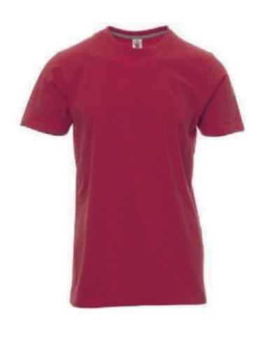 Camiseta REGENT Mod. CHICO