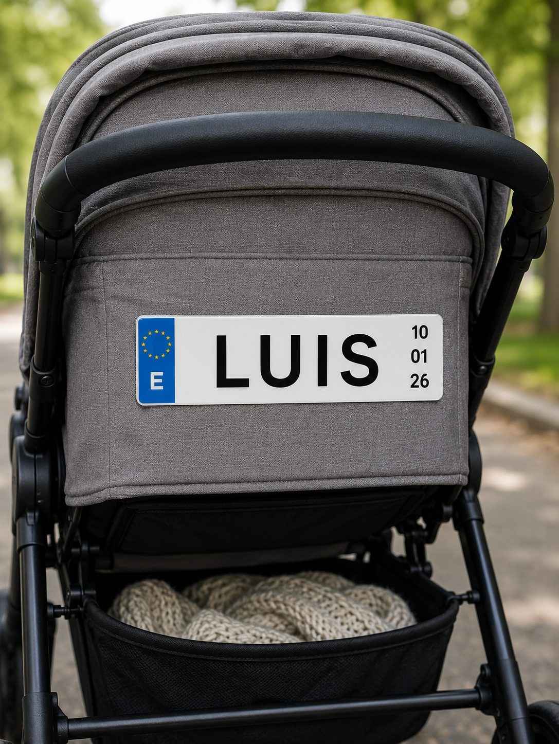 Placa Decorativa Infantil Personalizada 34x11 cm Estilo Matrícula Europea